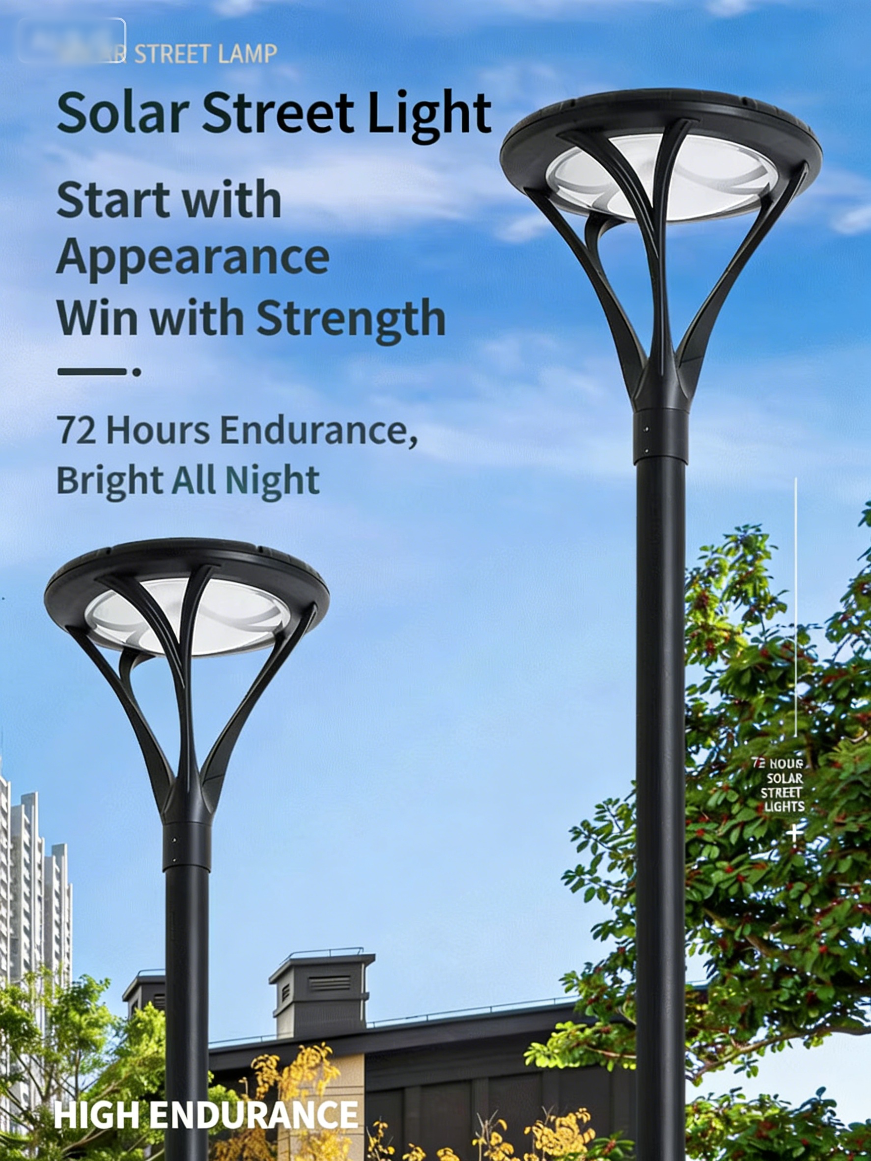 Cross-border solar street light, LED outdoor lighting, park landscape light, outdoor waterproof 3-meter solar courtyard light - Image 2